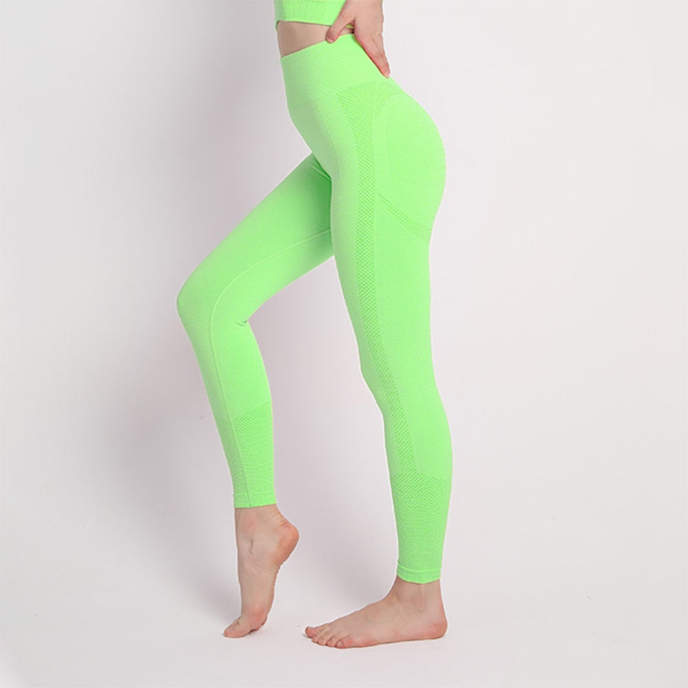 Fitness Seamless Workout Leggings