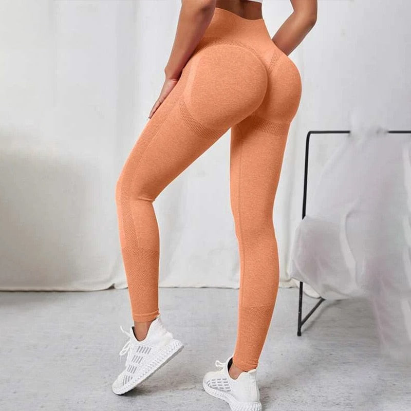 Fitness Seamless Workout Leggings