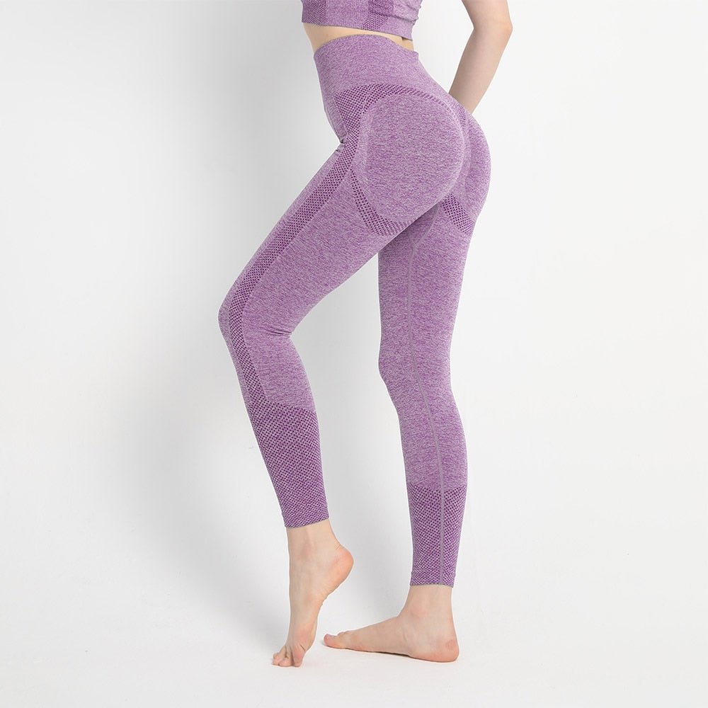 Fitness Seamless Workout Leggings