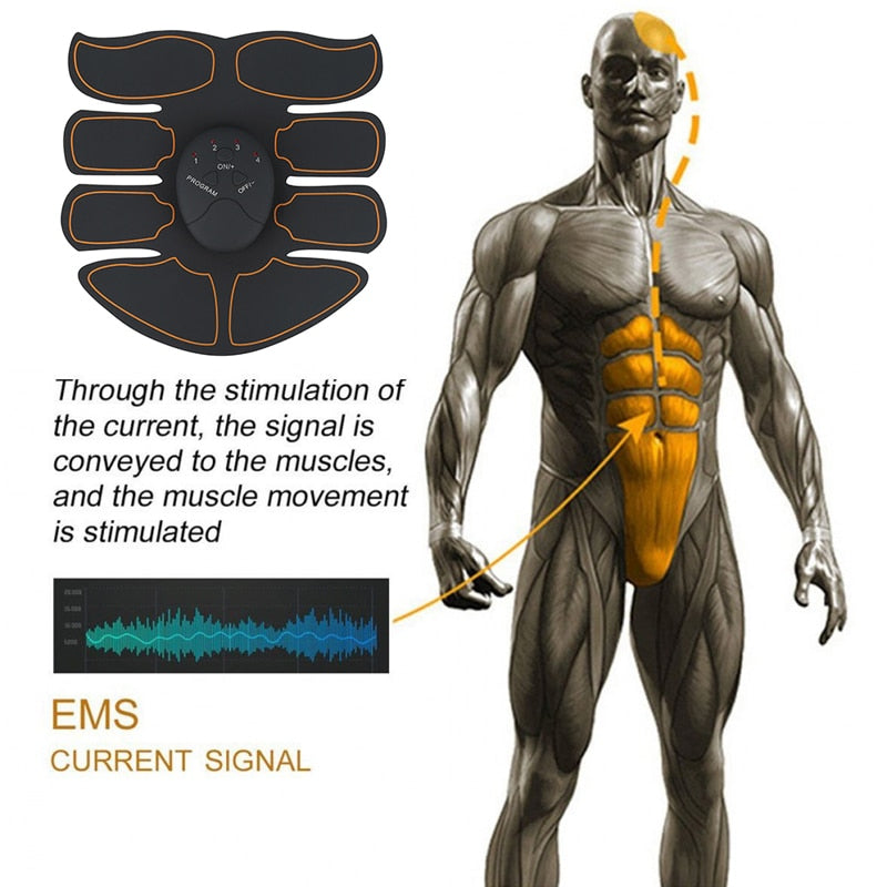 Electric Muscle Stimulator (EMS). This bundle includes a Hip, Buttocks trainer, an abdominal, and triceps stimulator. - twobusybodies