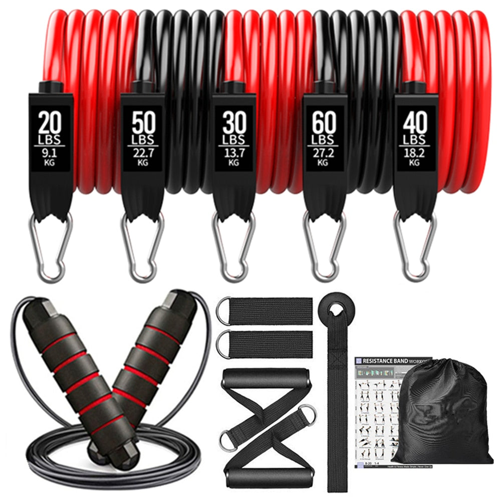 200lbs Fitness Resistance Bands Set. 11/17pcs Exercise Bands Gym Equipment for Home Training/Physical Therapy - twobusybodies