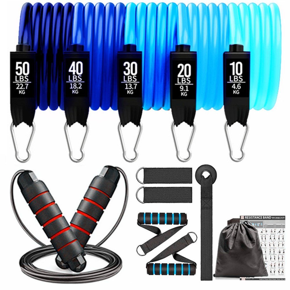 200lbs Fitness Resistance Bands Set. 11/17pcs Exercise Bands Gym Equipment for Home Training/Physical Therapy - twobusybodies