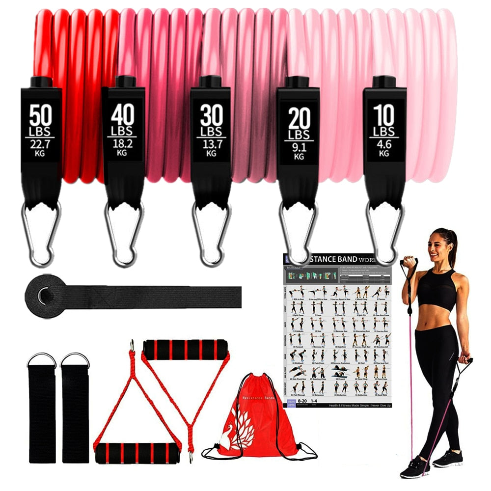 150lbs Resistance Bands Set for Men/Women. Latex Workout Bands included. Fitness Training Equipment for Home Bodybuilding. - twobusybodies