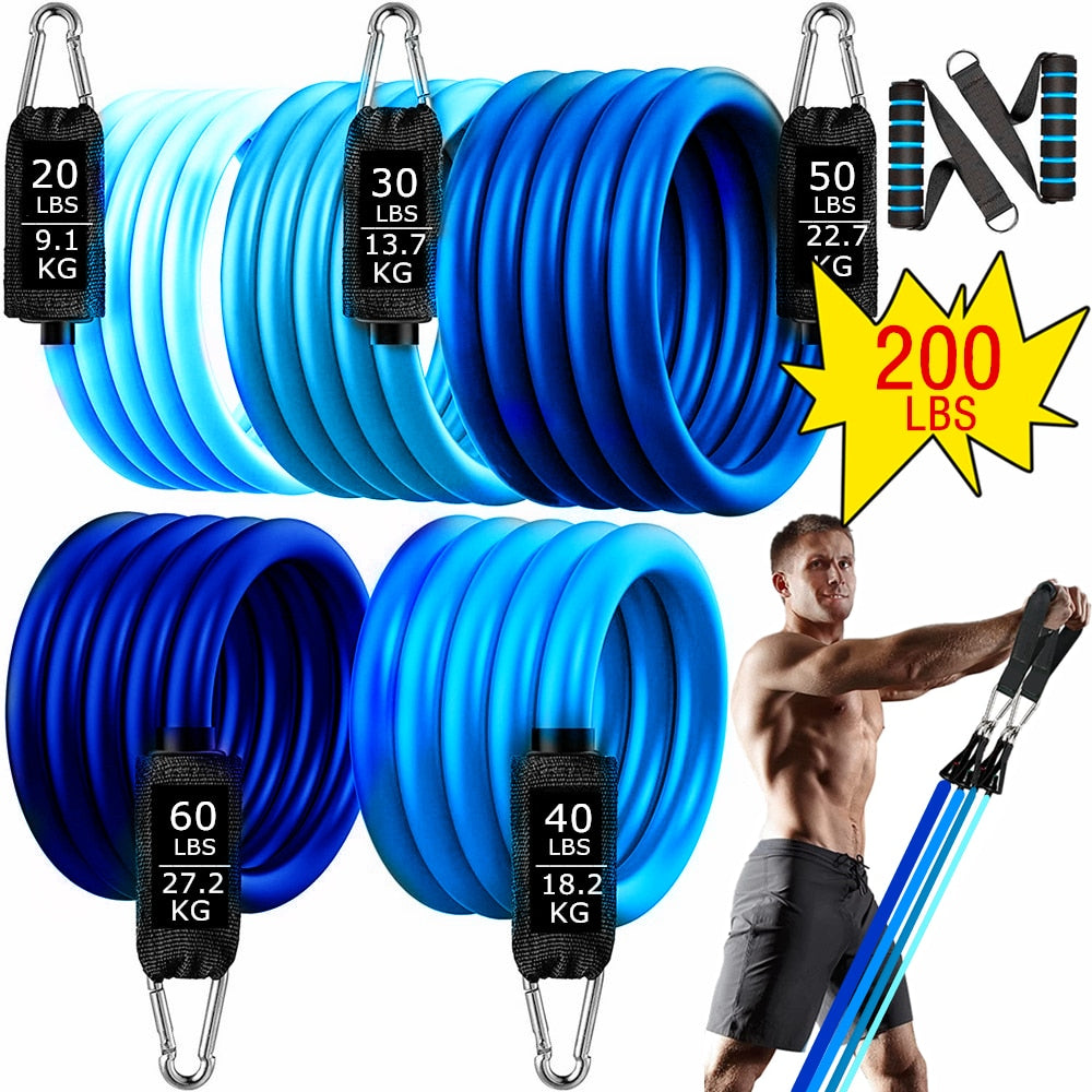 200lbs Fitness Resistance Bands Set. 11/17pcs Exercise Bands Gym Equipment for Home Training/Physical Therapy - twobusybodies