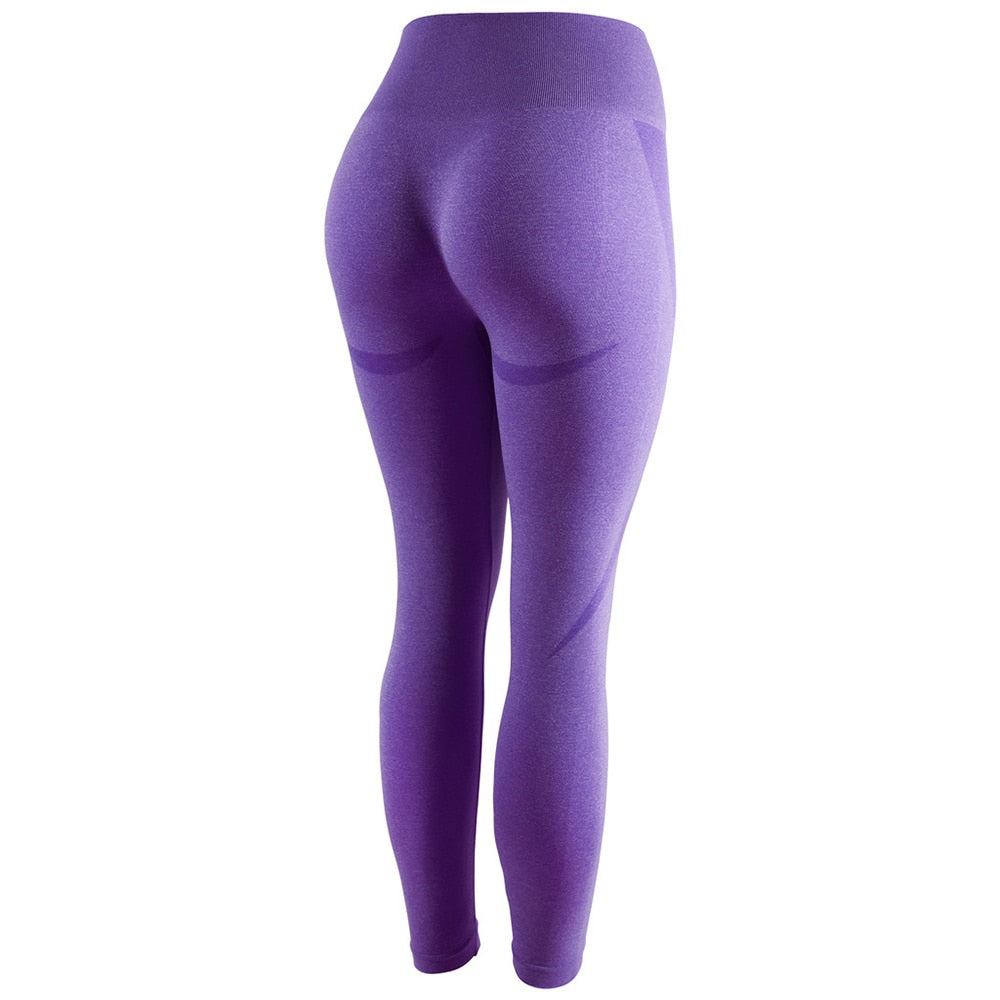 High Waist Seamless Push-Up Leggings.  Squat Proof Workout Sportswear. - twobusybodies